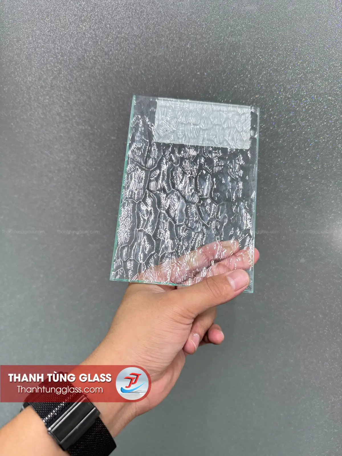 Kính đúc hiệu ứng vỏ sò- Thanh Tùng Glass